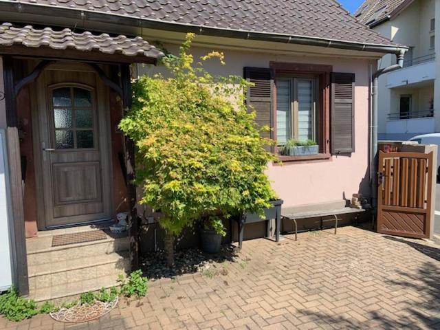 La Maison D'A Cote De Strasbourg 伊尔基希-格拉芬斯塔登 外观 照片
